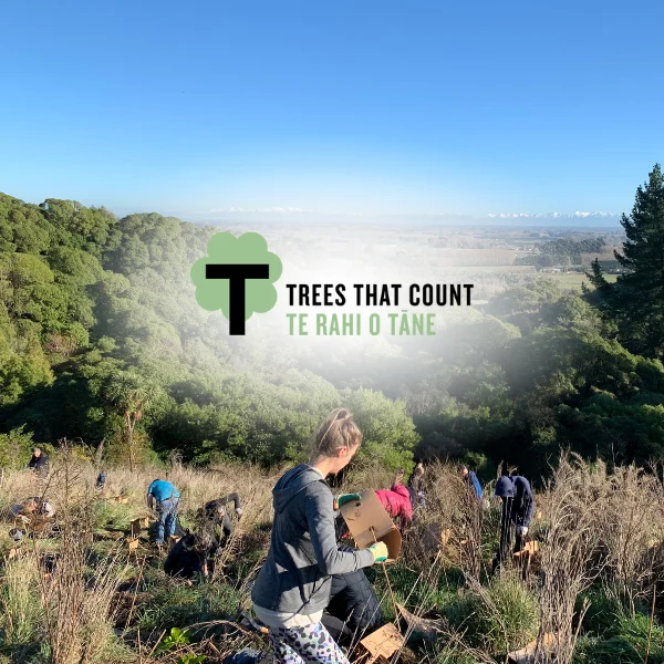 Sustainability Initiatives - Tress That Count